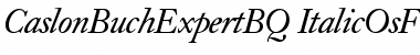 Caslon Buch Expert BQ Regular Font Title Preview