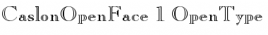 Caslon Open Face Regular Font Title Preview