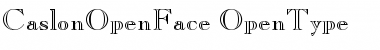 Caslon Open Face Light Font Title Preview