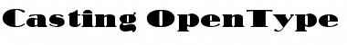Casting Regular Font Title Preview