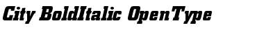 Berthold City Bold Italic Font Title Preview