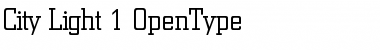 Berthold City Light Font Title Preview