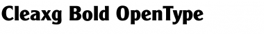Cleaxg Bold Font Title Preview