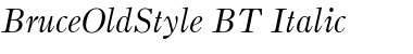 BruceOldStyle BT Italic Font Title Preview