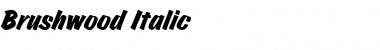 Brushwood Italic Font Title Preview