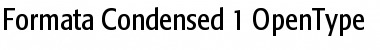 Formata Condensed Font Title Preview