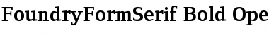 FoundryFormSerif Bold Font Title Preview