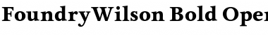 FoundryWilson Bold Font Title Preview