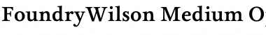 FoundryWilson Medium Font Title Preview