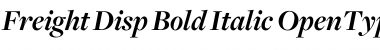 Freight Disp Bold Italic Font Title Preview