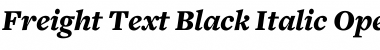 Freight Text Black Italic Font Title Preview