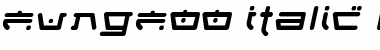 FungFoo Italic Font Title Preview