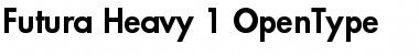 Futura Heavy Font Title Preview