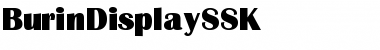 BurinDisplaySSK Regular Font Title Preview