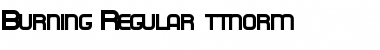 Burning Regular Font Title Preview