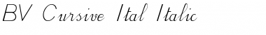 BV Cursive Ital Italic Font Title Preview