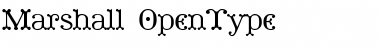 Marshall Regular Font Title Preview