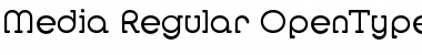 Media-Regular Regular Font Title Preview