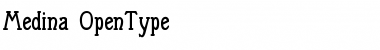 Medina Regular Font Title Preview