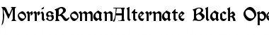 Morris Roman Alternate Black Font Title Preview