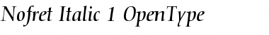 Nofret Italic Font Title Preview