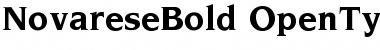 Novarese Bold Font Title Preview