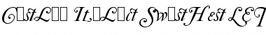 Caslon Italic Swashes LET Plain Font Title Preview