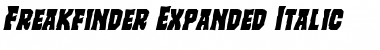 Freakfinder Expanded Italic Expanded Italic Font Title Preview