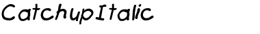 Catchup Italic Font Title Preview
