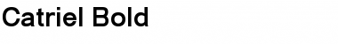Catriel Bold Font Title Preview