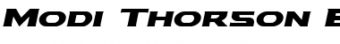 Modi Thorson Expanded Italic Expanded Italic Font Title Preview