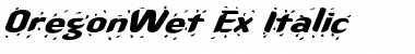 OregonWet Ex Italic Italic Font Title Preview