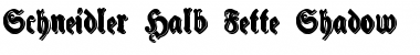 Schneidler Halb Fette Shadow Regular Font Title Preview