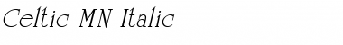 Celtic MN Italic Font Title Preview
