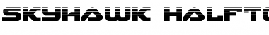 Skyhawk Halftone Regular Font Title Preview