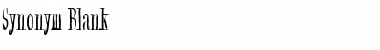Synonym Blank Regular Font Title Preview