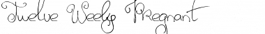 Twelve Weeks Pregnant Regular Font Title Preview