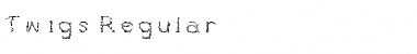 Twigs Regular Font Title Preview