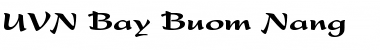 UVN Bay Buom Nang Regular Font Title Preview