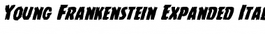 Young Frankenstein Expanded Italic Expanded Italic Font Title Preview