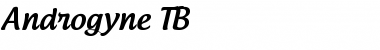 Androgyne Regular Font Title Preview