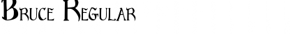 Bruce Regular Font Title Preview