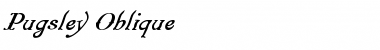 Pugsley Oblique Font Title Preview