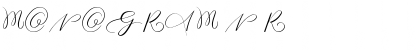 MONOGRAM N Regular Font Title Preview