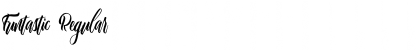 Funtastic Regular Font Title Preview