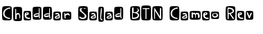 Cheddar Salad BTN Cameo Rev Regular Font Title Preview