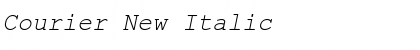 Courier New Italic Font Title Preview