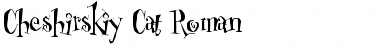 Cheshirskiy Cat Roman Font Title Preview