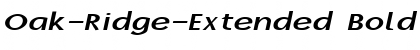 Oak-Ridge-Extended Bold Italic Font Title Preview