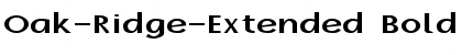 Oak-Ridge-Extended Bold Font Title Preview